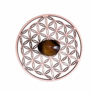 Pierre roulée œil de tigre ronde Afrique du Sud A 2 x 3 cm +/-0.5 cm (Vendu à l’unité)